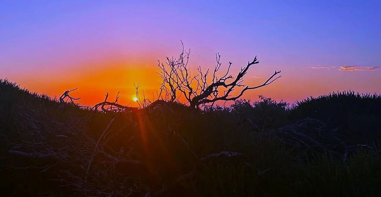 Kalbarri